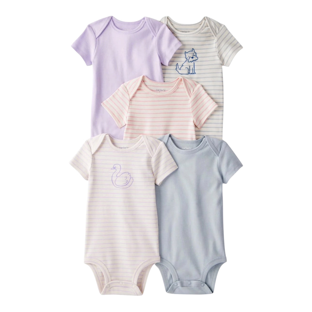 Set de 5 bodys  carter's