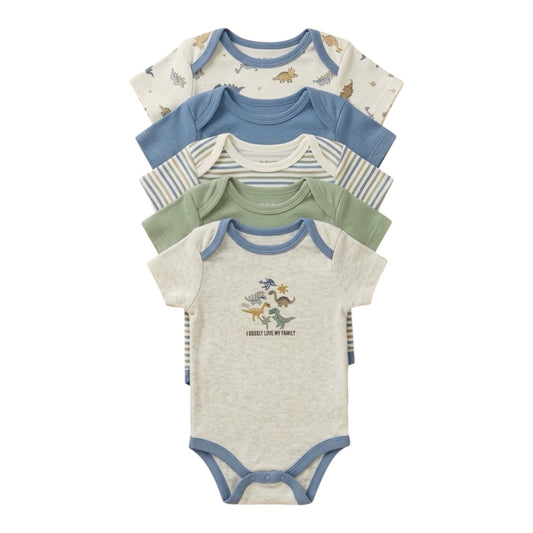 Set de 5 bodys para niño